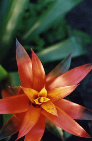 ed0032.jpg